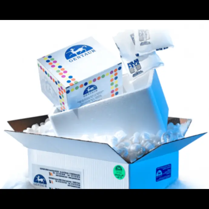  IFA ANA Rat Liver Tissue Test System 10 x 6 wells - 10 x 6 wells